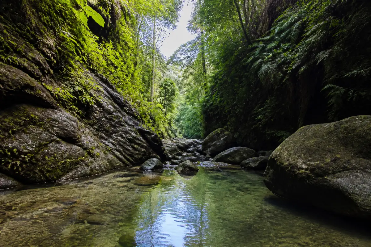 Canyon Moustique Guadeloupe : randonnée, itinéraire et découverte