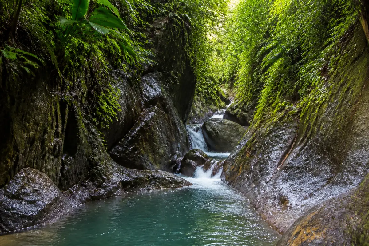 Canyon Moustique Guadeloupe : Itinéraire et randonnée à ne pas manquer !
