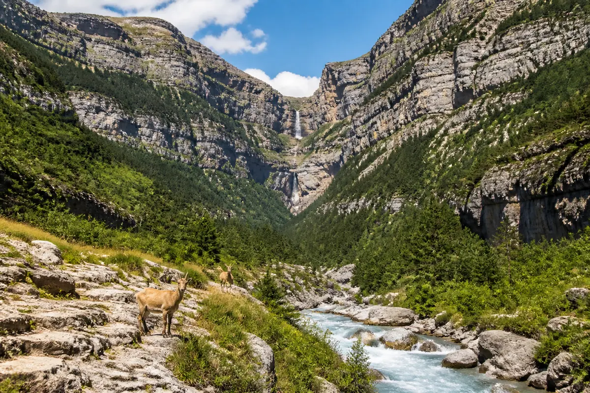 Canyon d’Ordesa : randonnée, accès et secrets du Grand Canyon