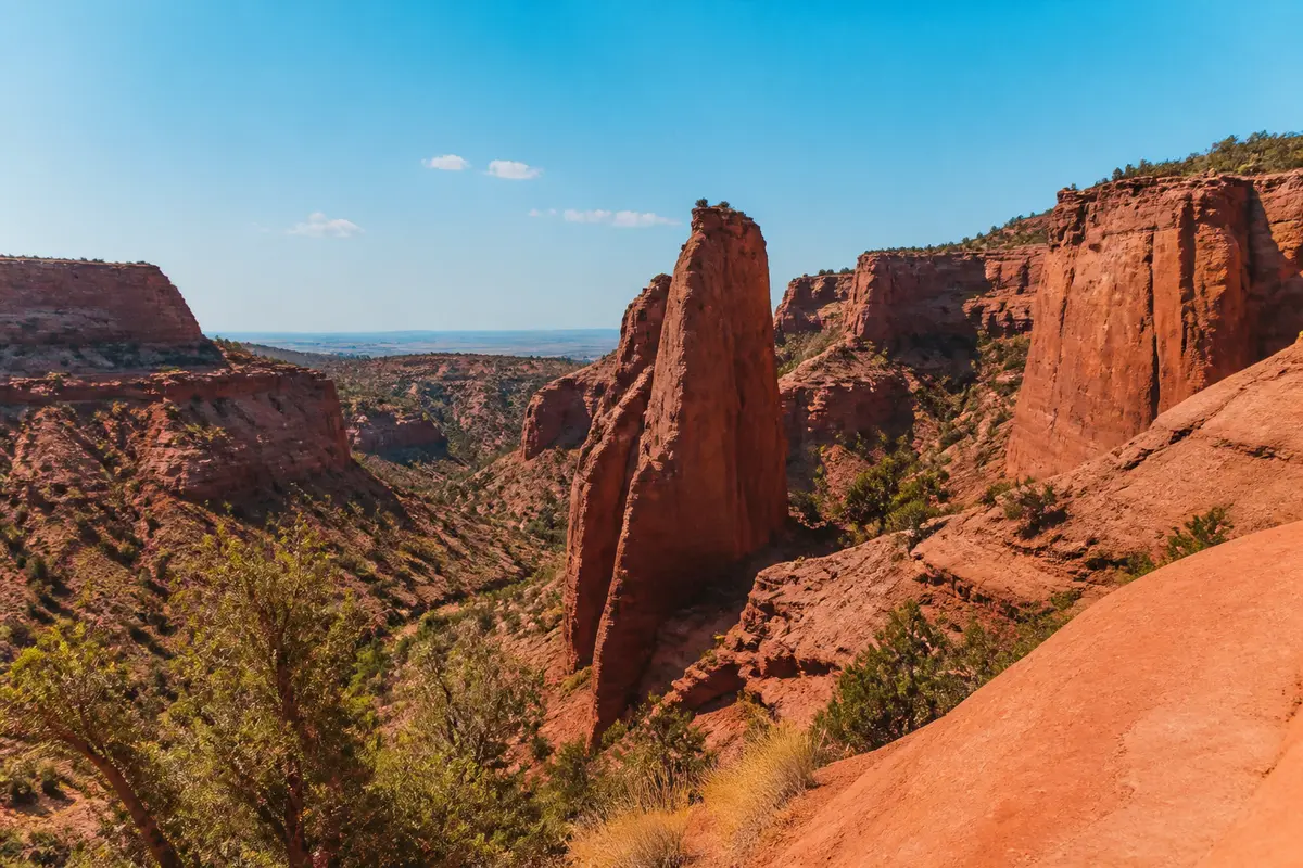 Canyon Red Rock 3 roues : Aventure &amp; performance tout-terrain
